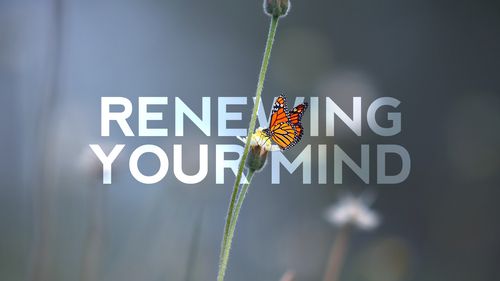 Comfort is an enemy of growth : Renewing the mind.